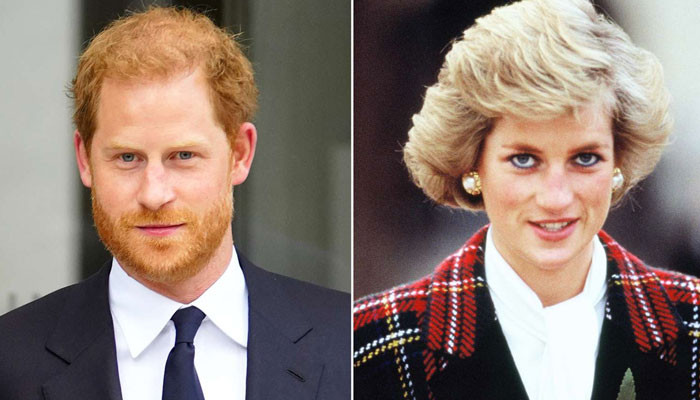 يريد الأمير هاري “إعادة تسمية” نفسه بأنه “نسخة حديثة” من الأميرة ديانا