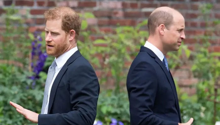 Prince William hates as Prince Harry puts him in cynical light