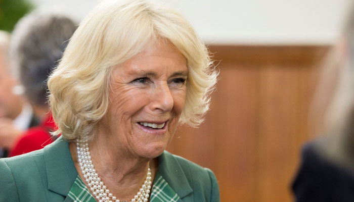 Queen Consort Camilla will be ‘working hard’ on her ‘shared job’