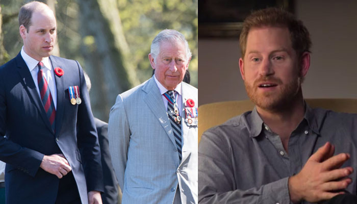 Cabang zaitun Pangeran Harry untuk Charles, William ‘tidak masuk akal’