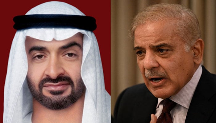 BAE Başkanı Şeyh Mohamed bin Zayed Al Nahyan (solda) ve Başbakan Shehbaz Sharif.  — Fotoğraf izniyle WAM/AFP/File