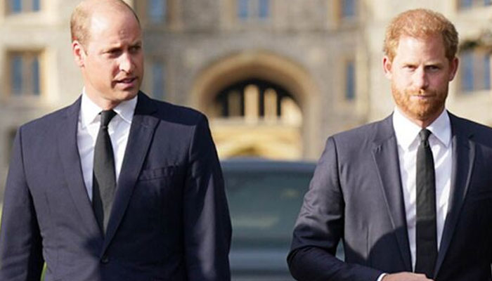 Prince Harry is planning a nasty plan against own brother Prince William