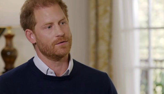 Prince Harry ‘already leaning’ into life of ‘wannabe celebrity’