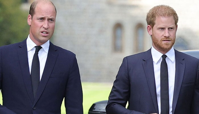 Prince Harry says Prince William physically attacked him after calling Meghan rude