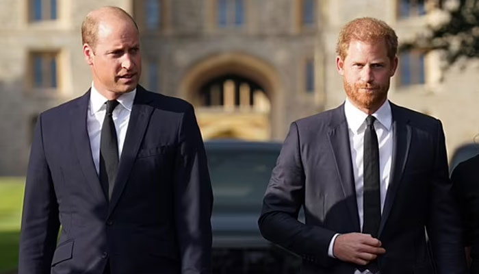 Prince Harry spills names he and Prince William call each other by