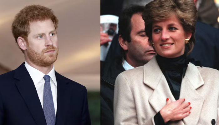Prince Harry went to tunnel in Paris where Princess Diana died