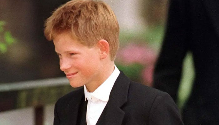 Prince Harry said drugs made him feel different after Princess Diana death