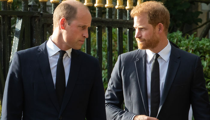 Prince Harry looks at his older brother Prince William as his archnemesis, leaked excerpts from his memoir Spare revealed