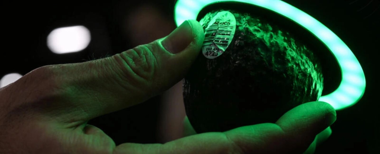 Scanners for avocados and your brain: Highlights from CES 2023
