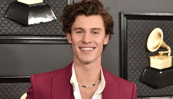 Shawn Mendes Wavy Quiff  Man For Himself