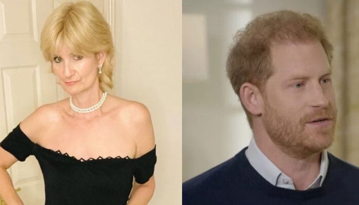 Princess Diana OnlyFans look alike pokes fun at Prince Harry