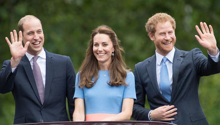 Kate Middleton e o marido, o príncipe William, teriam sido testemunhas oculares do primeiro ataque de pânico do príncipe Harry.