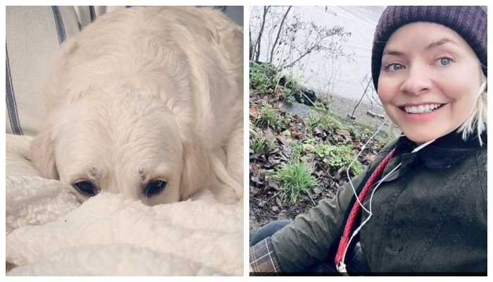 Holly Willoughby takes her dog Bailey on rainy walk