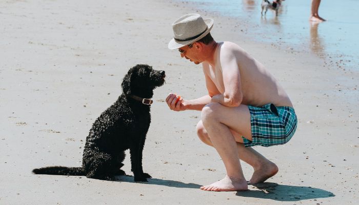 The image shows a man apparently talking to his pet. — Pexels