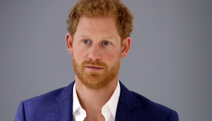 Prince Harry knows it is profitable to blame Royals in book Spare