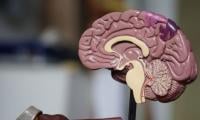 Brain check-up tool reveals 12 risk factors for dementia