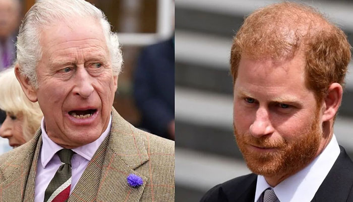 King Charles threw darts at Prince Harry with Princess Diana death news