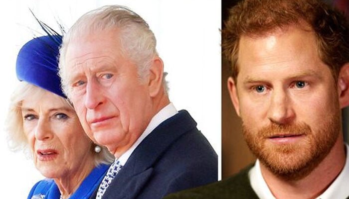 Prince Harry says Camilla 'spoke' as he asked King not to marry her