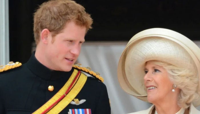 Prince Harry reveals his FIRST meeting with Camilla: 'My turn came'