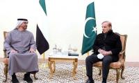 UAE president drops clues on 'huge investment' plans for Pakistan