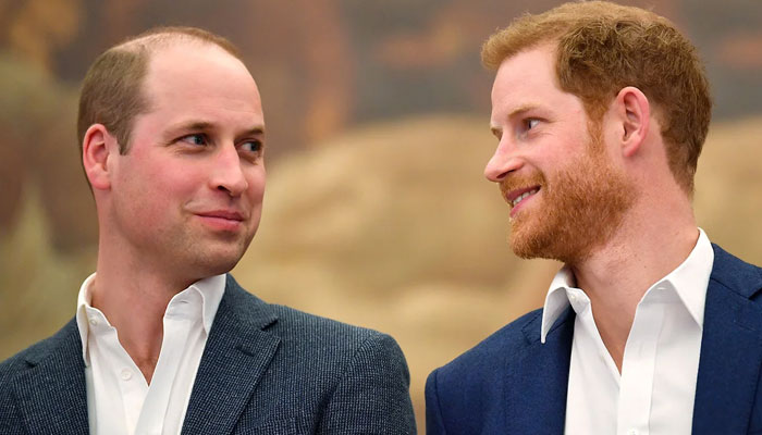 Prince William to offer no chance of shortterm reconciliation to Prince Harry
