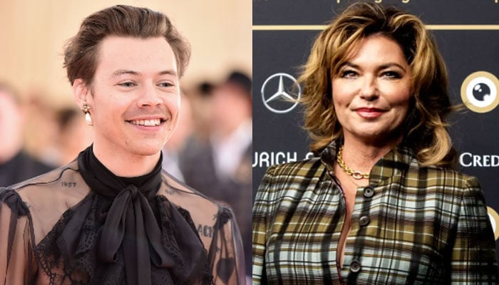 Harry Styles reportedly fawns over Shania Twain after parting ways with Olivia Wilde