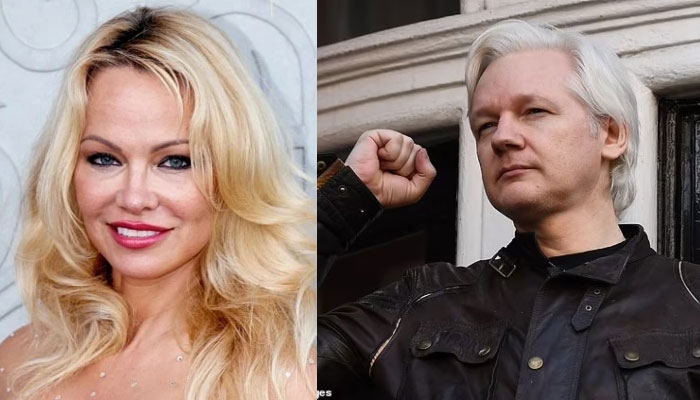 Pamela Anderson recalls getting frisky with Wikileaks founder Julian Assange at the London embassy