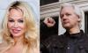 Pamela Anderson recalls getting 'frisky' with Wikileaks founder Julian Assange at the London embassy