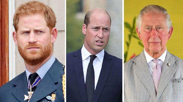 Prince Harry’s ‘brouhaha’ against King Charles, Prince William ‘isn’t ...