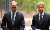 Prince William, Prince Harry Need 'head Banging' To Solve Conflict