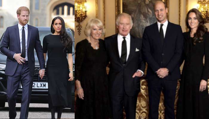 Meghan Markle, Prince Harrys brand founded on never-ending royal family misery