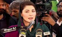 Maryam hits back at critics of dynastic politics