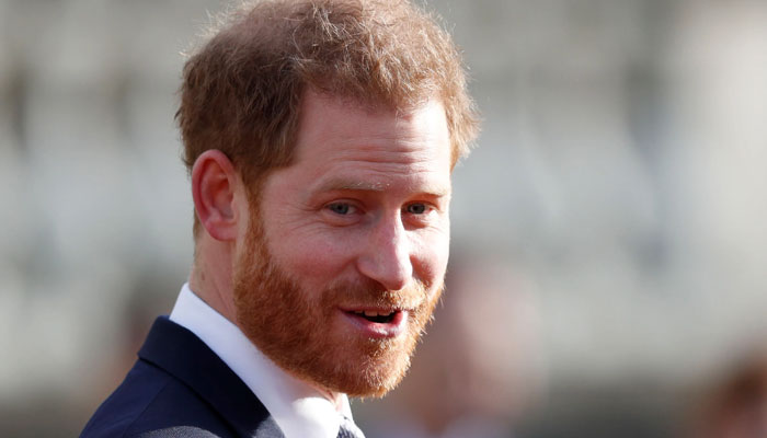Prince Harry emphasized with Diana after media leaked deeply private things