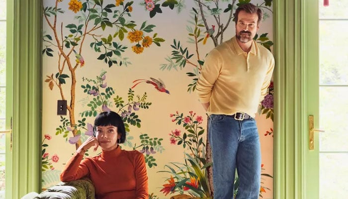 David Harbour and wife Lily Allen flaunt their Brooklyn town house: Watch