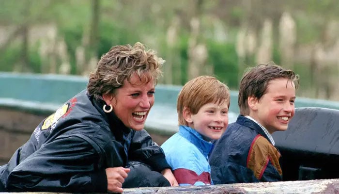 Prince Harry, William were talked out of reopening Princess Diana death case