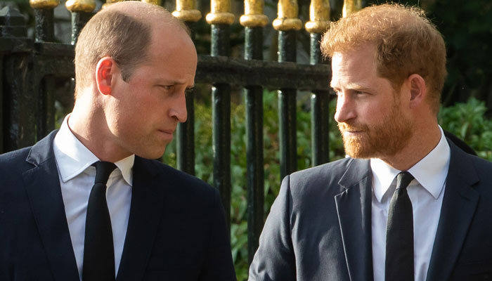 Prince William made Harry look like slob in media