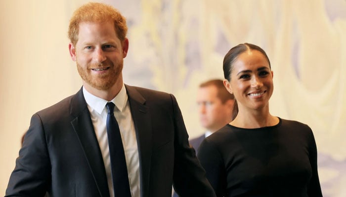 Prince Harry and Meghan Markles new Netflix plans revealed