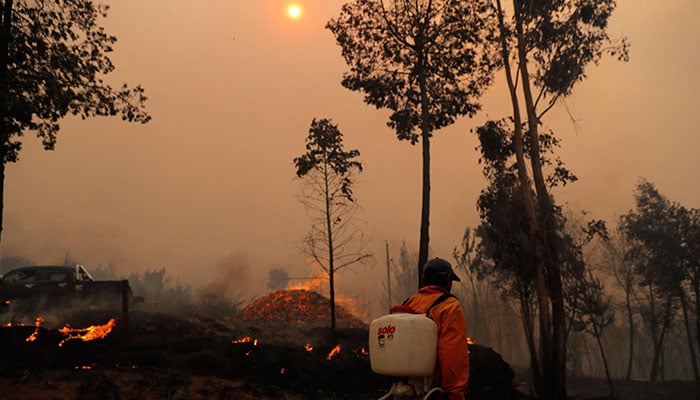 A man puts out a fire in Santa Juana, Concepcion province, Chile on February 3, 2023. — AFP