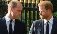 Prince William Made Harry Look Like 'slob' In Media