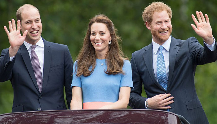 Prince Harry never knew as Prince William decided to marry Kate Middleton