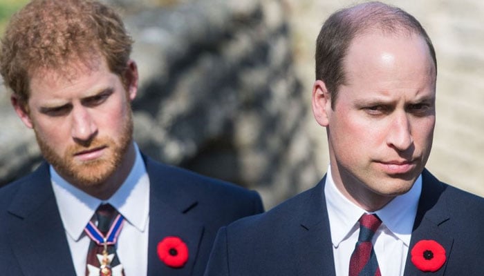 Prince Harry was asked not to give best man speech for Prince William: Heres Why