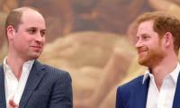 Prince Harry, Prince William 'juggling hereditary duty' as King takes crown