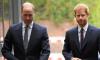 Prince Harry says Prince William face was 'gaunt' on wedding day