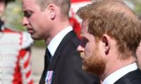 Prince Harry’s ‘quest For Vengeance’ Against Prince William Signs Of ‘delusion’
