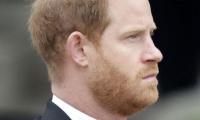 ‘Compliant husband’ Prince Harry ‘a stepping stone’ for Meghan Markle