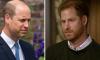 Prince Harry ‘wanted to be King’ over ‘heir apparent’ Prince William