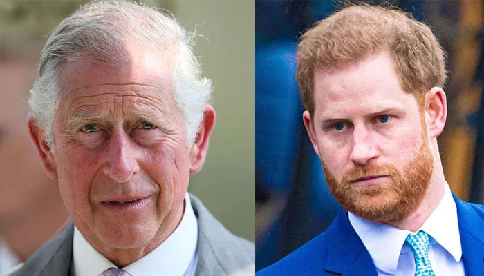 Prince Harry assured King Charles mental health struggles were not his fault