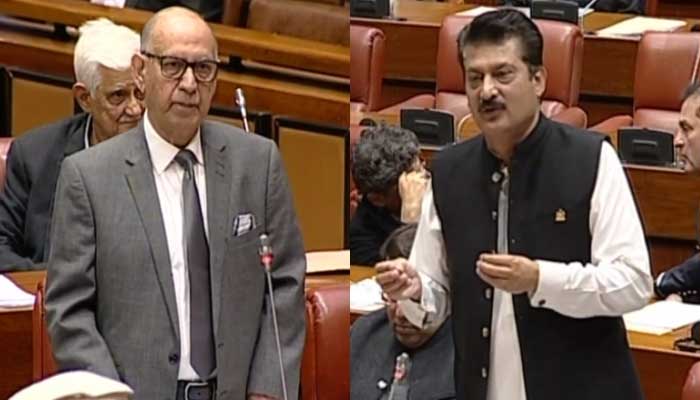 PML-N Senator Irfan Ul Haque Siddiqui and PTI Senator Shehzad Waseem speak during their turn in the senates session held on February 10, 2023, in this still taken from a video. — YouTube/Senate of Pakistan