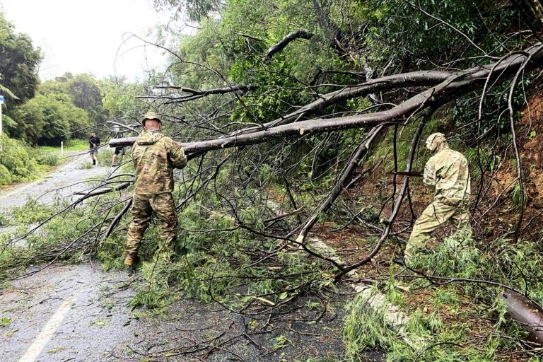 The New Zealand Defence Force clear fallen trees near Matarangi, in the Coromandel area of the North Island. — New Zealand Defence Force/AFP