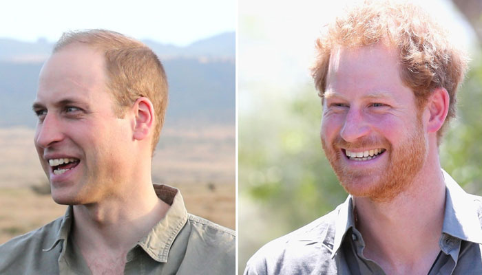 Prince William and Prince Harry had real rows about Africa
